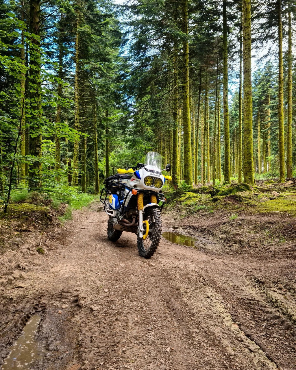 Protector faro Yamaha XTZ750 Super Tenere