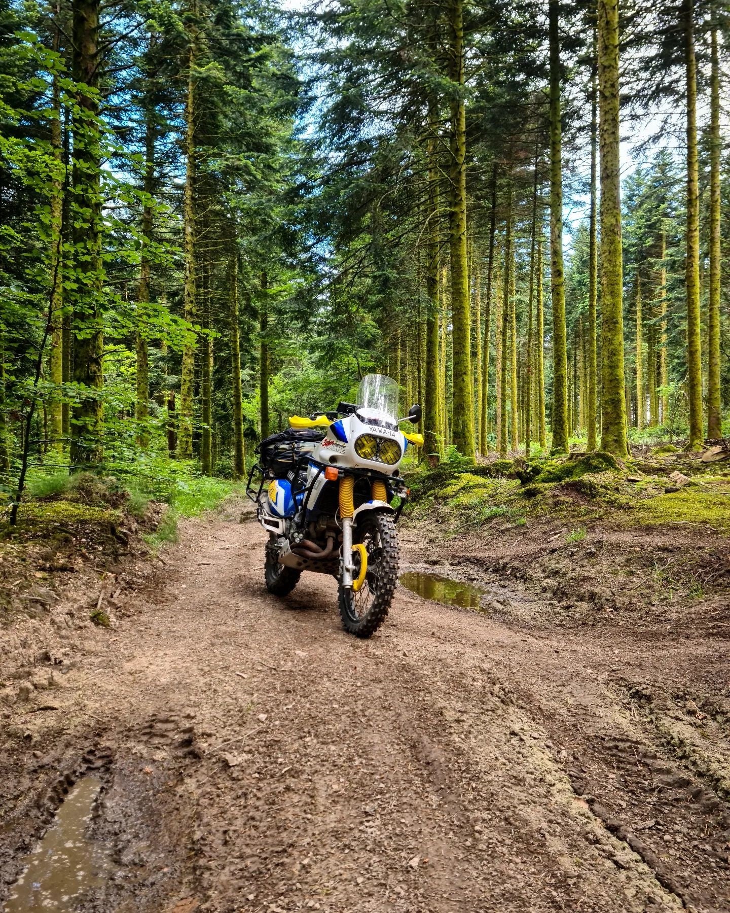 Protector faro Yamaha XTZ750 Super Tenere